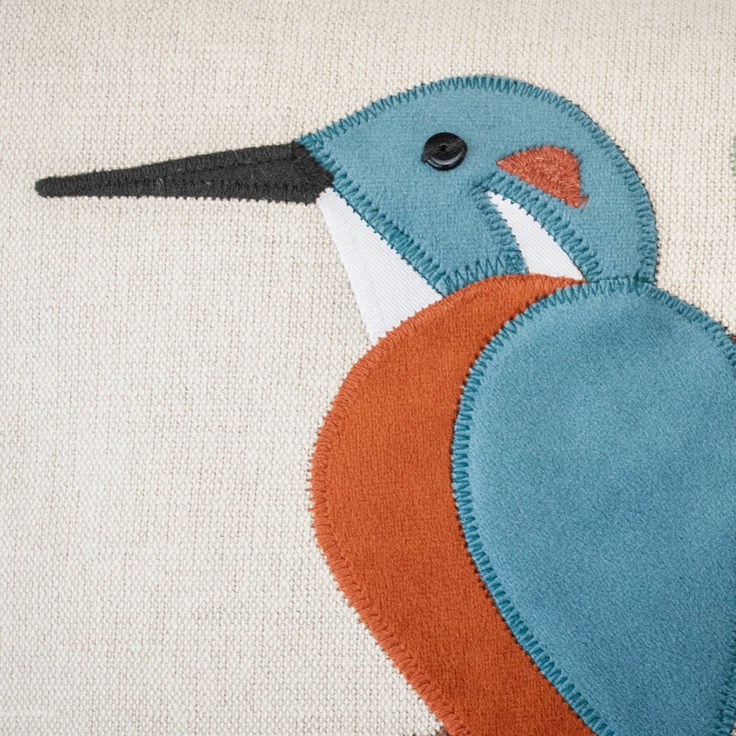 Close up of Kingfisher Detail