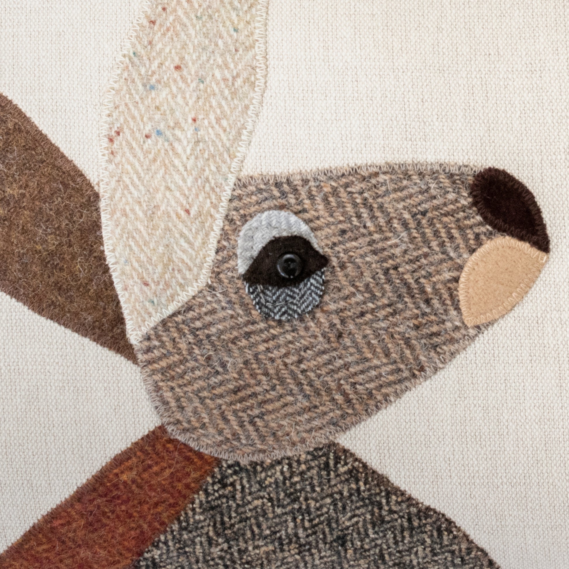 Hare detail